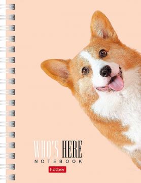 Записная книжка А6 80л гребень клетка обл мел картон Хатбер Кто здесь 1/6/120