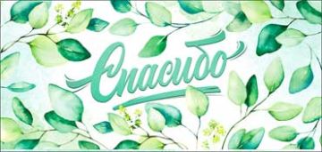 Конверт для денег 16,5х8см Спасибо ! 90-69-С 10/10