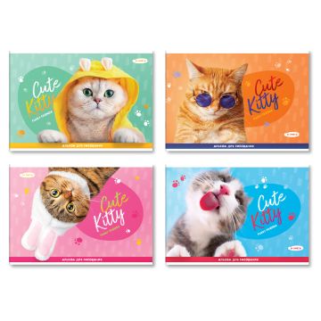 Альбом для рисования 24л А4  на скрепке эконом BG Cute Kitty 1/4/40