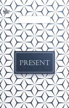 Пакет с вырубной ручкой (20х30)-30 Презент Тико 100/3000