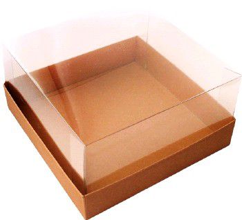 Коробка для торта 240х240х200 мм крышка пластик 25/25