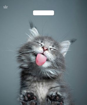 Пакет с вырубной ручкой (38х45)-60 Кот ламинат Тико 50/500