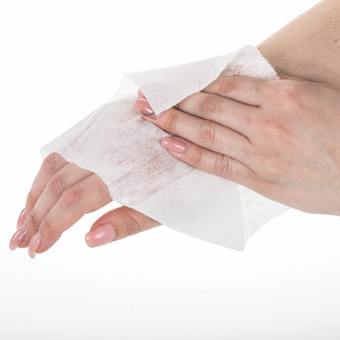 Салфетки влажные саше 130х170мм Laima Wet Wipe 1/60 (Клиент)