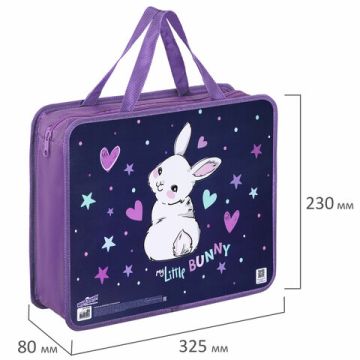 Папка на молнии с ручками А4 пластик 1 отделение, на молнии, ширина 80мм Юнландия 1/30