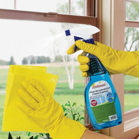 Средство для мытья стекол и зеркал 500мл ЛЮБАША Морозная свежесть с распылителем 1/24