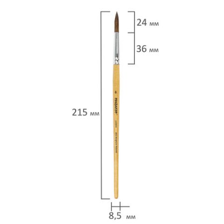 Кисть пони круглая №6 Пифагор 1/30/1800