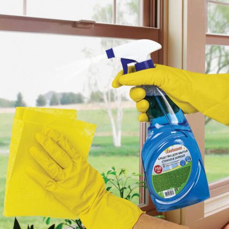 Средство для мытья стекол и зеркал 750мл триггер Морозная свежесть ЛЮБАША 1/16 (Клиент)