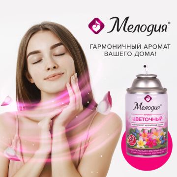 Картридж аэрозольный 250мл МЕЛОДИЯ Цветочный для автом освеж универ сух расп 1/6 (клиент)