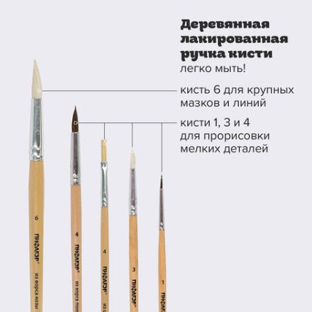 Кисти 5шт Пони круглые №1,4, Коза круглая №3,6, Щетина плоская №4 ПИФАГОР 1/12