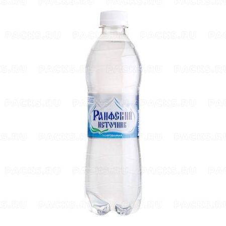 Продукты Вода Раифский источник 0,5л газ 1/12