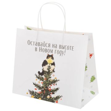 НГ Пакет подарочный крафтовый (28х24х14) Котики ЗОЛОТАЯ СКАЗКА 1/24/144