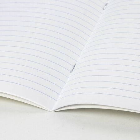 Тетрадь 18л линия с полями ПЗБМ  /210