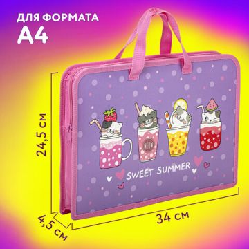 Папка на молнии с ручками А4 пластик 1 отделение, на молнии, ширина 45мм Юнландия 1/24