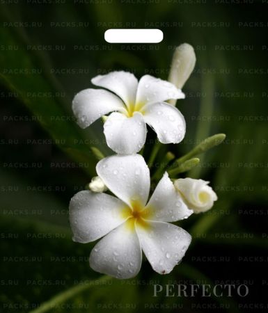 Пакет с вырубной ручкой (42х48)-90 Перфекто Плюмерия Тико  25/400