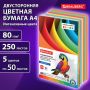 Бумага А4 250л 80г/м2 цветная интенсив для офисной техники BRAUBERG 1/5