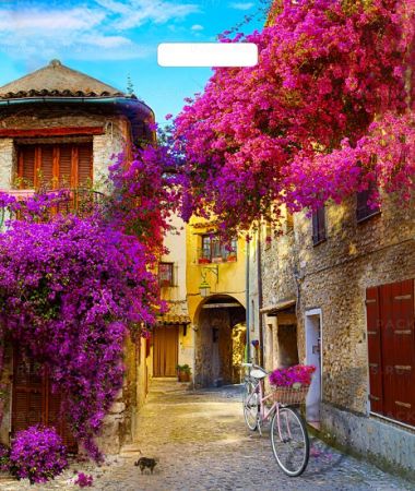 Пакет с вырубной ручкой (38х45)-60 Итальянский дворик ламинат Тико 50/500 