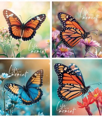 Тетрадь 48л А5 клетка скоба Бабочки Creativiki 8/64