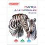 Папка для рисования А4 20л 120 г/м2 210х297мм Зебры ПИФАГОР 1/20