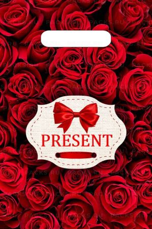 Пакет с вырубной ручкой (20х30)-30 Презент бордо Тико 100/3000