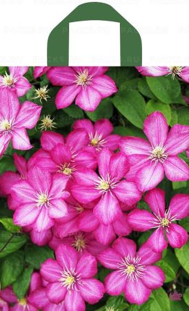 Пакет с петлевой ручкой (28х35)-55 Летние цветы Тико 50/700 