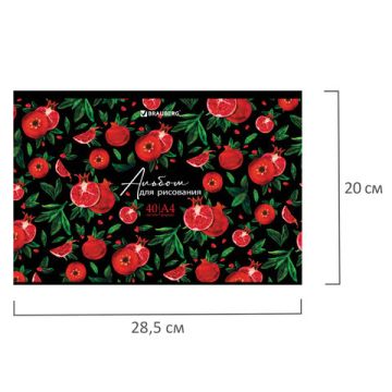 Альбом для рисования 40л А4 скоба обложка картон BRAUBERG Гранаты 1/8/40 (Клиент)
