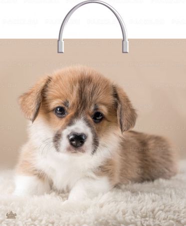 Пакет с пластмассовыми ручками (35х36)-85 Мой дружок Тико 10/100