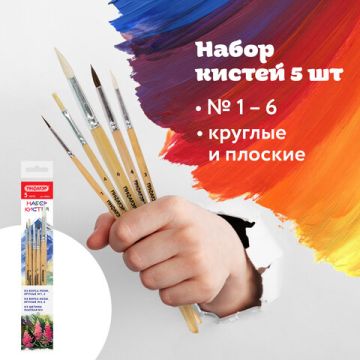 Кисти 5шт Пони круглые №1,4, Коза круглая №3,6, Щетина плоская №4 ПИФАГОР 1/12