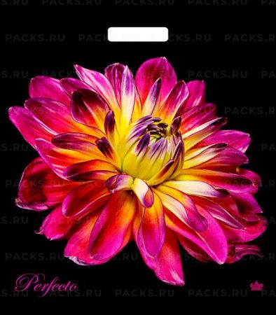 Пакет с вырубной ручкой (42х48)-90 Перфекто Герцогиня Тико 25/400