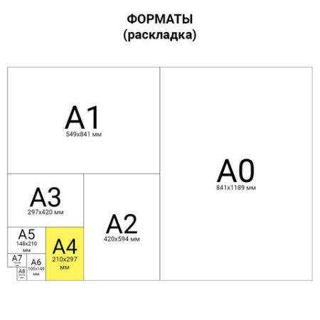 Книга учета 96л А4 200х290мм клетка картон глянец блок типографский STAFF 1/10 (клиент)
