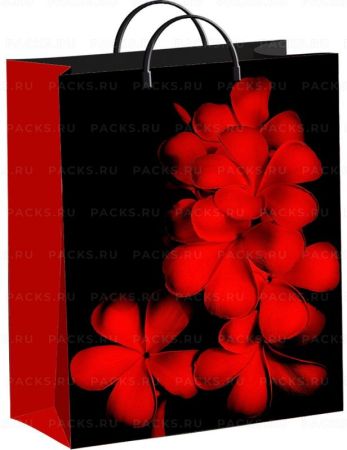 Пакет пластиковый (30х40+10)-140 Экзотик Тико 1/40