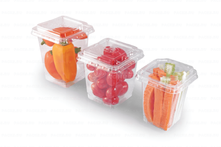 Контейнер ПЭТ 350мл ПР-СТ (95Х75) Протэк (крышка 464607) 300/300 