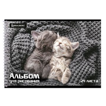 Альбом для рисования А4 24л гребень обложка картон BRAUBERG Питомцы 1/10/40