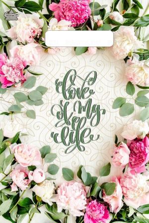 Пакет с вырубной ручкой (20х30)-30 Романтичный Тико 100/3000