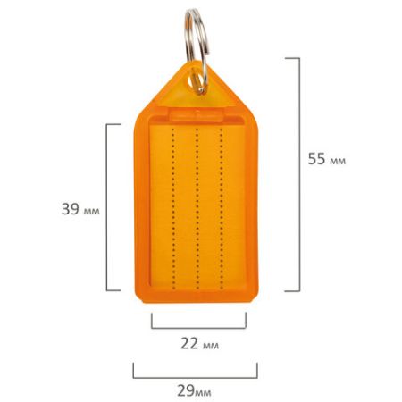 Бирки для ключей КОМПЛЕКТ 20 ШТ длина 55 мм инфо-окно 39х22 мм АССОРТИ BRAUBERG 1/1 (клиент)