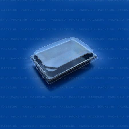 Контейнер (188х133х29) КС-19 крышка для суши ТДУ 500/500