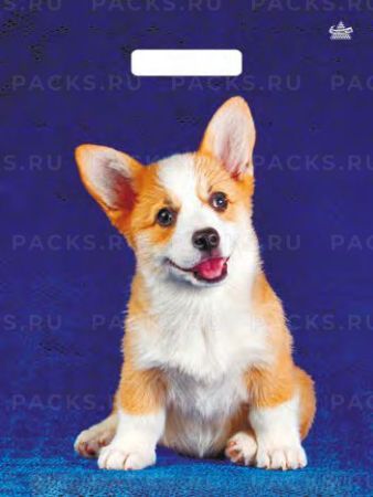 Пакет с вырубной ручкой (31х40)-60 Корги Тико 50/500