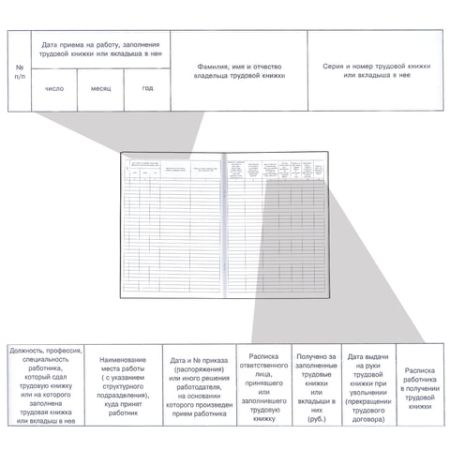 Книга Учета движения трудовых книжек и вкладышей 48л А4 210х290мм картон офсет 1/10 (вывод)