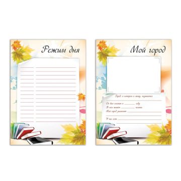 Портфолио ШКОЛЬНИКА 32л 30 разделов МОЕ ПОРТФОЛИО BRAUBERG 1/5/40