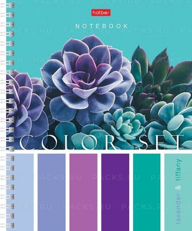 Тетрадь 80л А5 клетка гребень мелован картон Color Set Хатбер 1/4/56