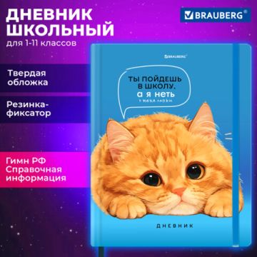 Дневник 1-11кл 40л (твердый) матовая ламинация Котик 1/36 (Клиент)