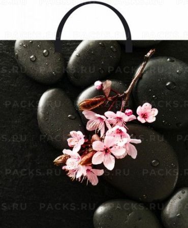 Пакет с пластмассовыми ручками (36х37)-100 Японская сакура Тико 10/100