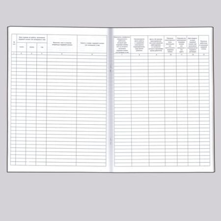 Книга Учета движения трудовых книжек и вкладышей 48л А4 210х290мм картон офсет 1/10 (вывод)